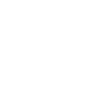 155 Dijital
